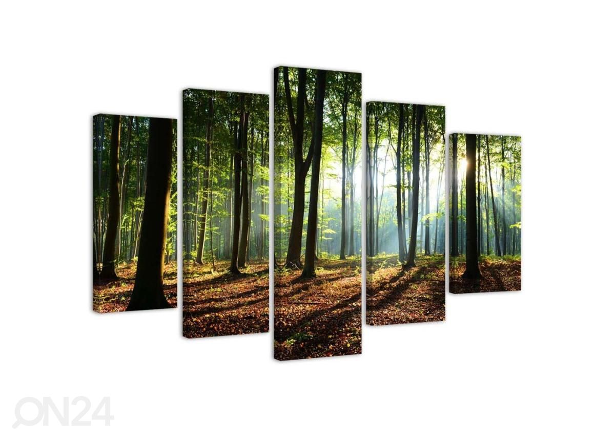 Картина из 5-частей Rays of the sun in the forest 150x100 см увеличить