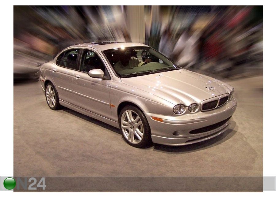 Картина Jaguar 53x40 см увеличить