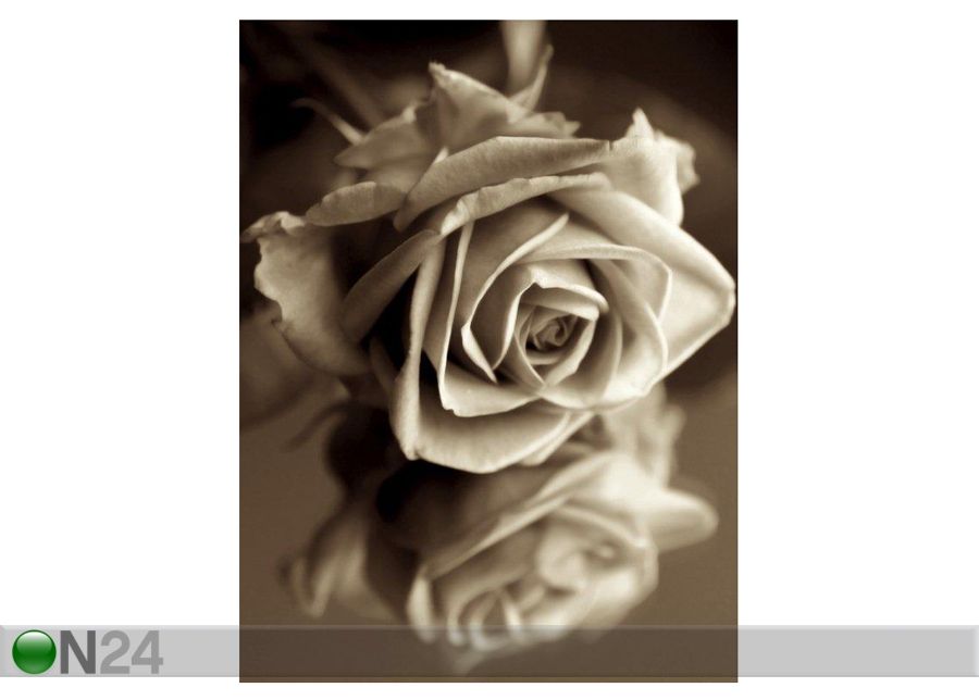 Картина Sepia Rose 40x53 см увеличить