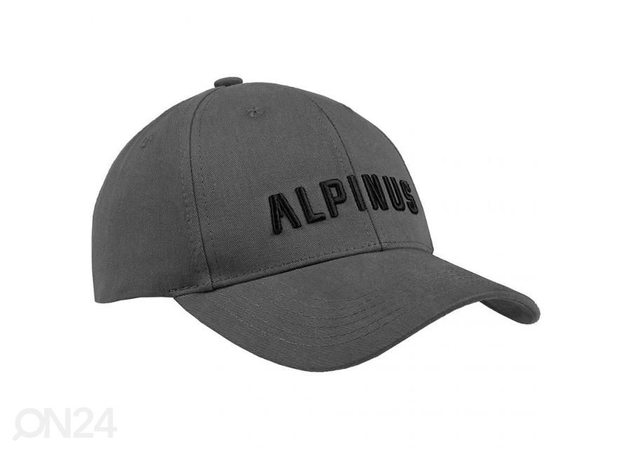 Кепка Alpinus увеличить