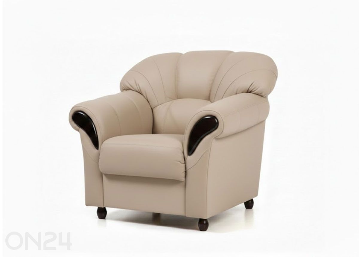 Кожаное кресло Rosa увеличить