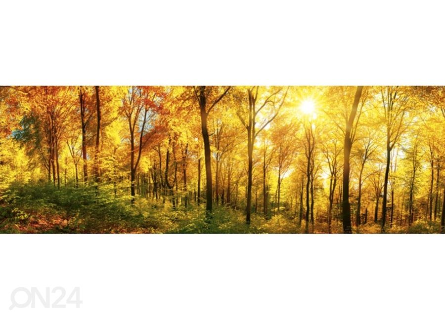 Кухонный фартук Sunny forest 260x60 см увеличить