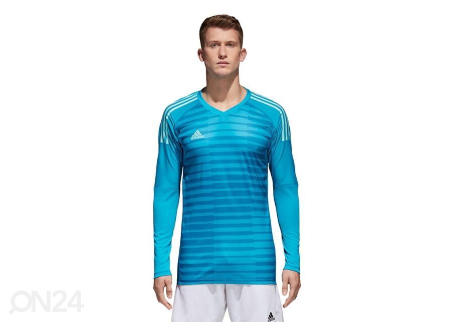 Мужская вратарская рубашка adidas Adipro 18 GK M CV6350 увеличить