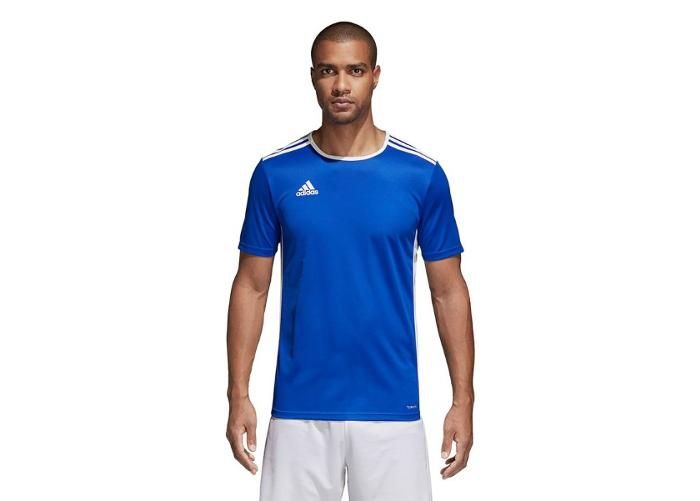 Мужская и детская футбольная рубашка adidas Entrada 18 CF1037 увеличить