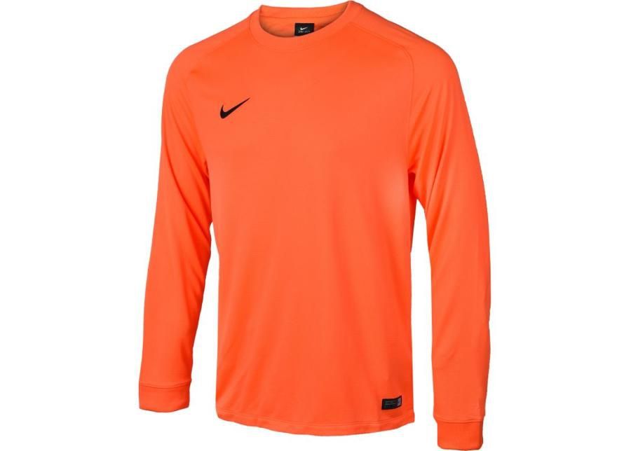 мужская Мужская вратарская рубашка Nike PARK GOALIE II LS M 588418-803 увеличить