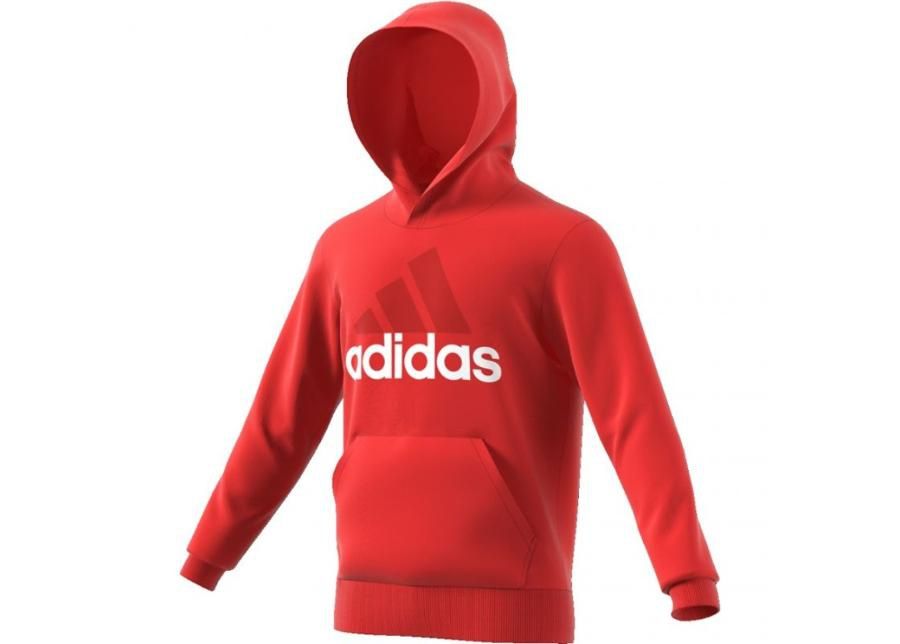 Мужская толстовка adidas ESSENTIALS LIN P/O FT M CW3860 увеличить