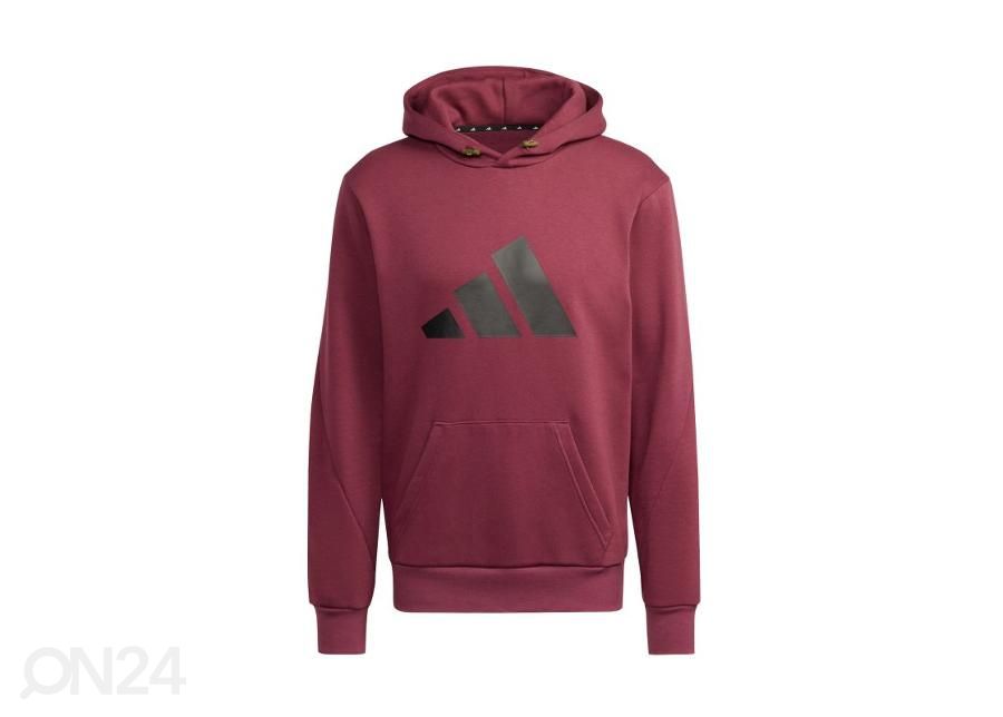Мужская толстовка Adidas Future Icons Winterized увеличить
