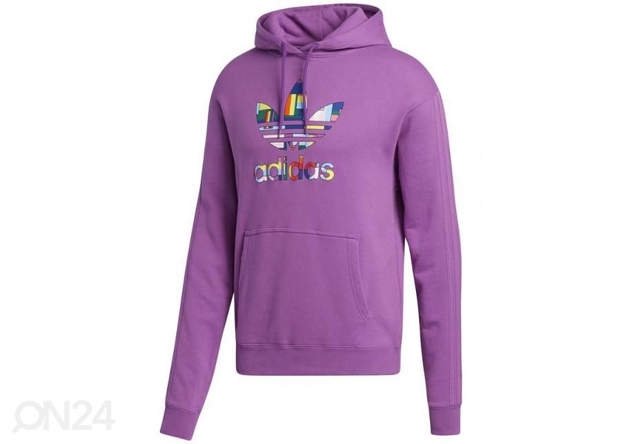 Мужская толстовка Adidas Pride Flag Fill Hoody M GK8524 увеличить