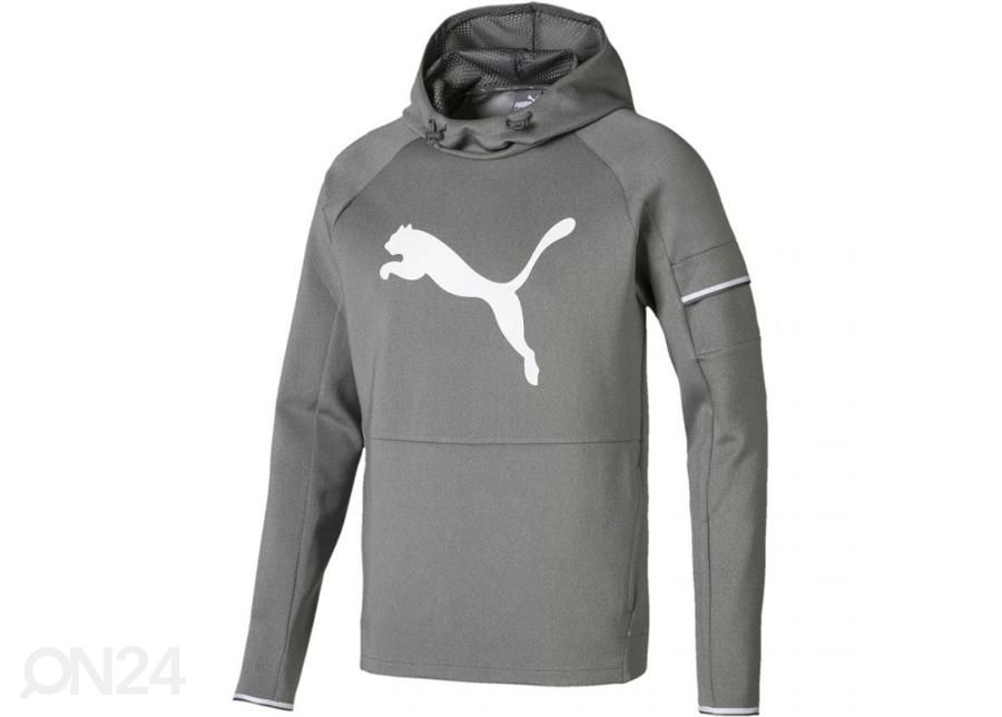 Мужская толстовка Puma Tec Sports Cat Hoody M 854168 03 увеличить