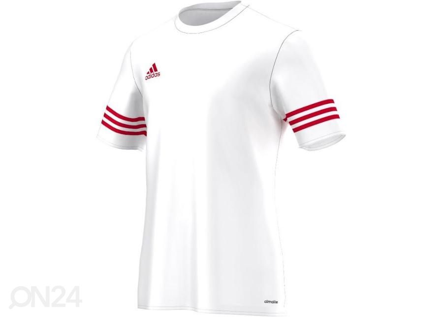 Мужская футболка adidas Entrada 14 F50490 увеличить