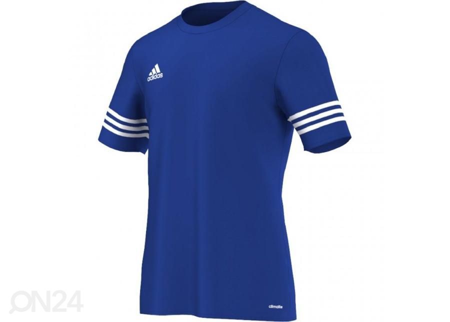 Мужская футболка adidas Entrada 14 F50491 увеличить