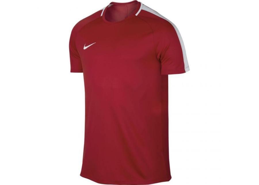 Мужская футболка Nike Nk Gry Ss Academy M 832967-657 увеличить