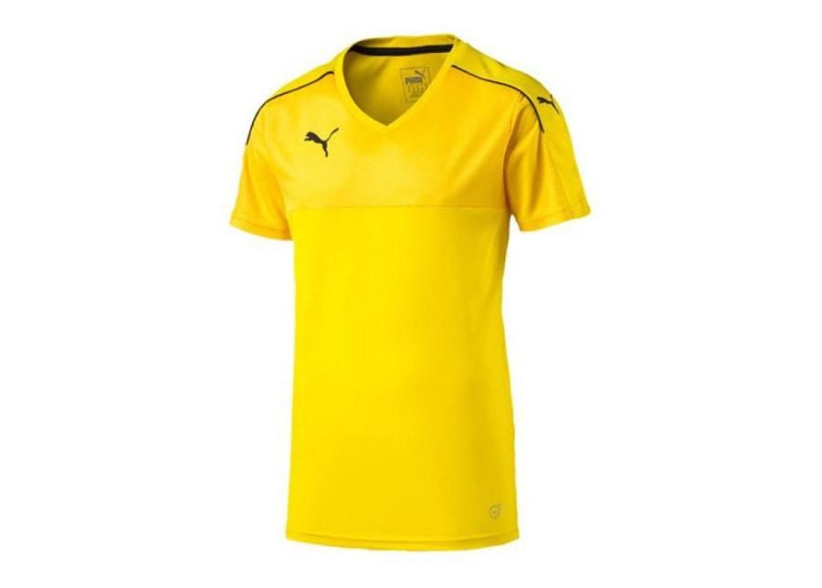 Мужская футболка Puma Accuracy M 702214-07 увеличить