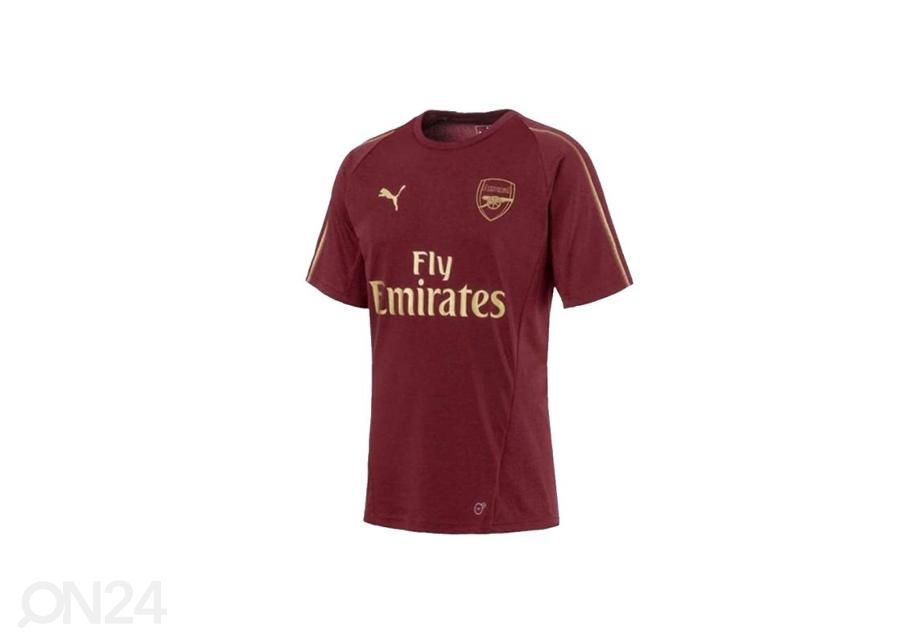 Мужская футболка Puma Arsenal FC Training Tee M 753265 03 увеличить