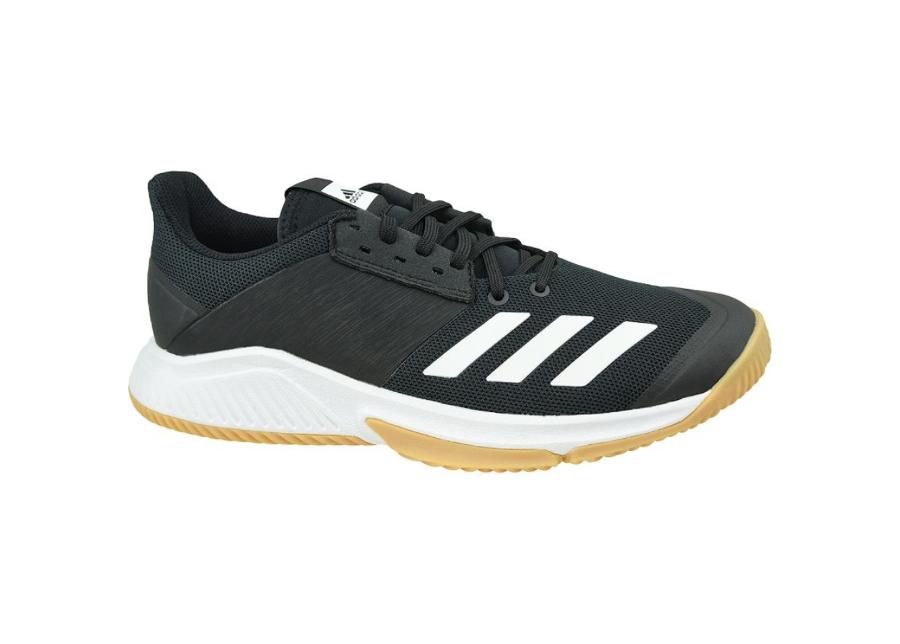 Мужские волейбольные бутсы adidas Crazyflight Team M D97701 увеличить