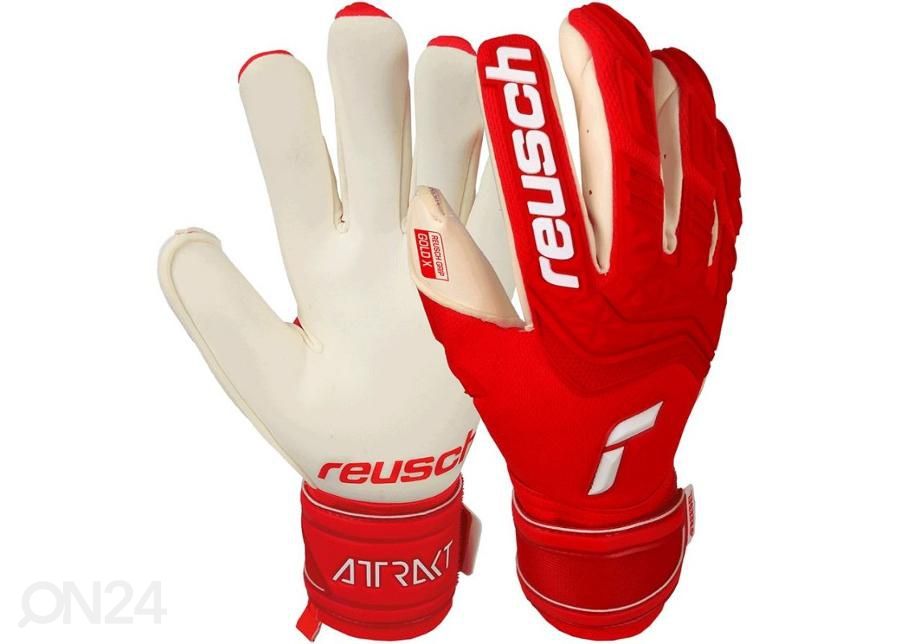 Мужские вратарские перчатки Reusch Attrakt Freegel Gold X увеличить