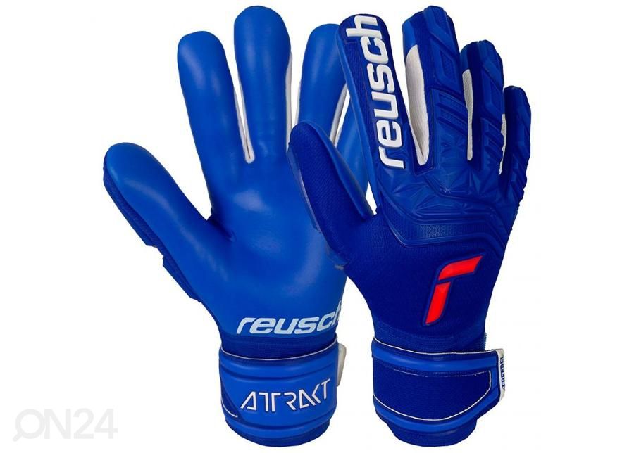 Мужские вратарские перчатки Reusch Attrakt Freegel Silver увеличить