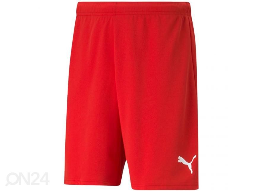 Мужские спортивные шорты Puma teamRISE Short увеличить