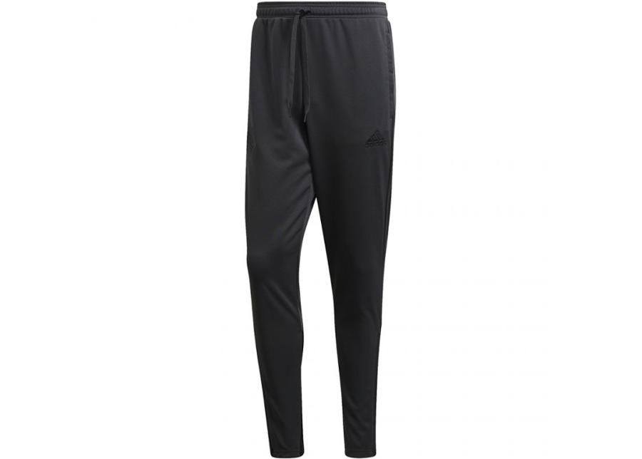 Мужские спортивные штаны adidas Tan Training Pants M FJ6329 увеличить