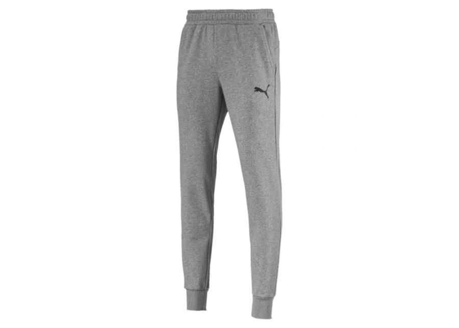 Мужские спортивные штаны Puma ESS Logo TR CL M 851754 увеличить