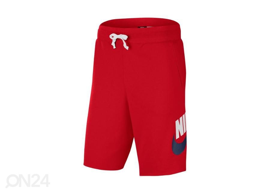Мужские шорты Nike NSW French Terry Alumni увеличить