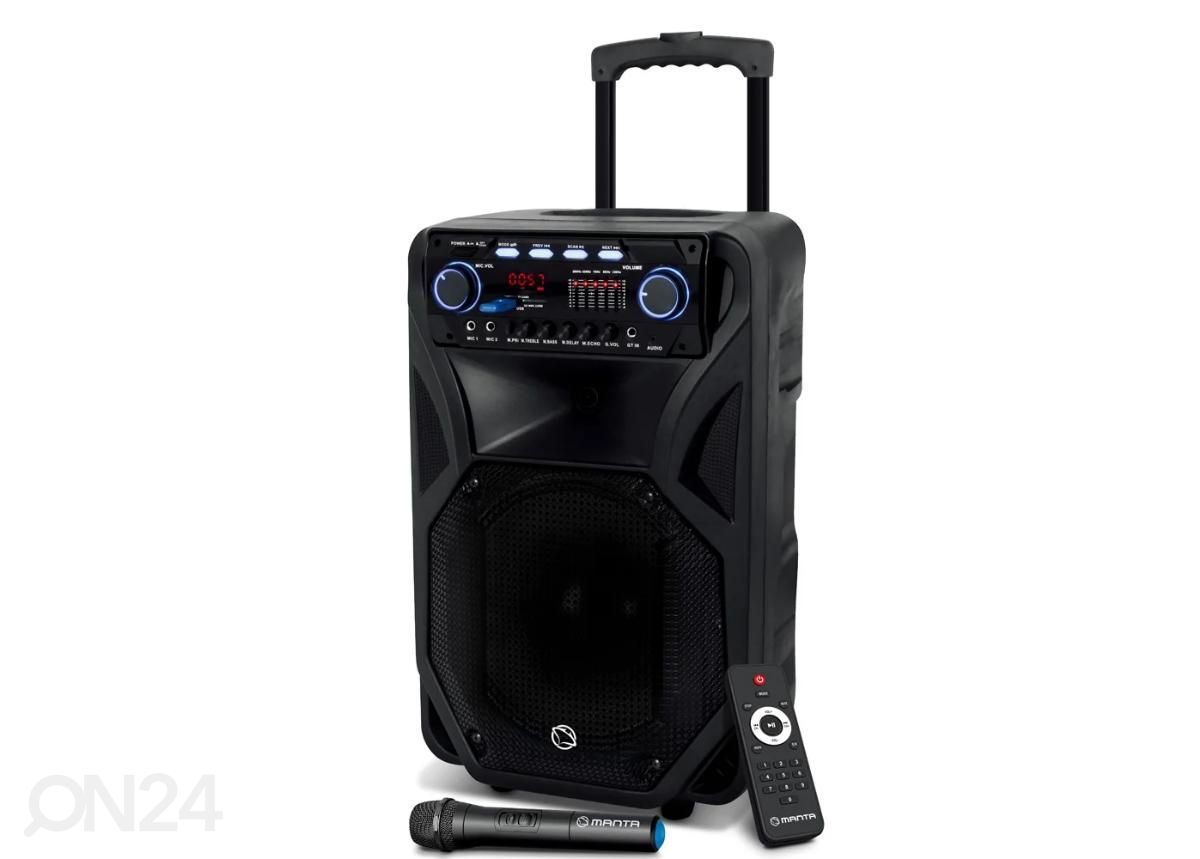 Музыкальный центр Manta SPK5021PRO увеличить
