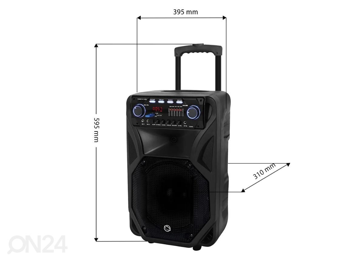 Музыкальный центр Manta SPK5021PRO увеличить размеры