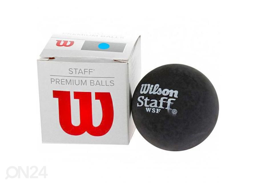 Мяч для сквоша Wilson Staff Ball BL DOT увеличить