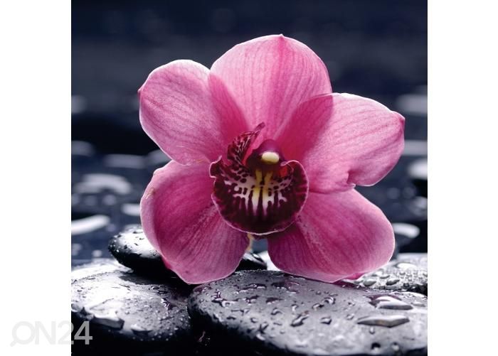 Напольная наклейка Orchids 170x170 см увеличить
