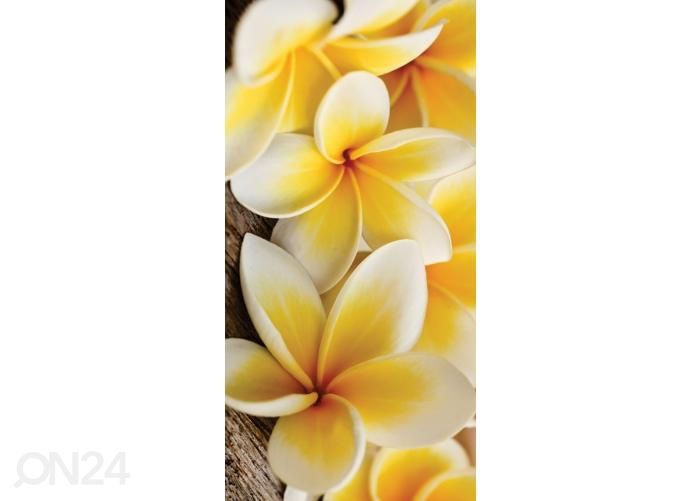 Напольная наклейка Plumeria 85x170 см увеличить