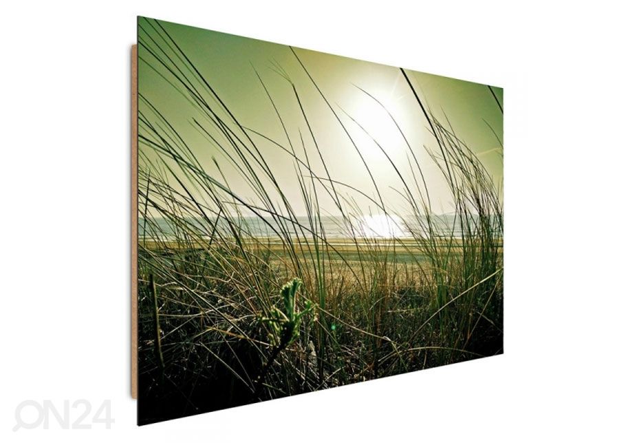 Настенная картина Coastal grass 50x70 см увеличить