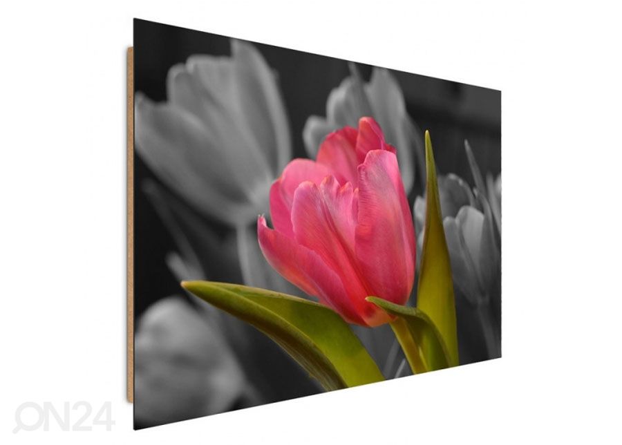 Настенная картина Red tulip 40x50 см увеличить