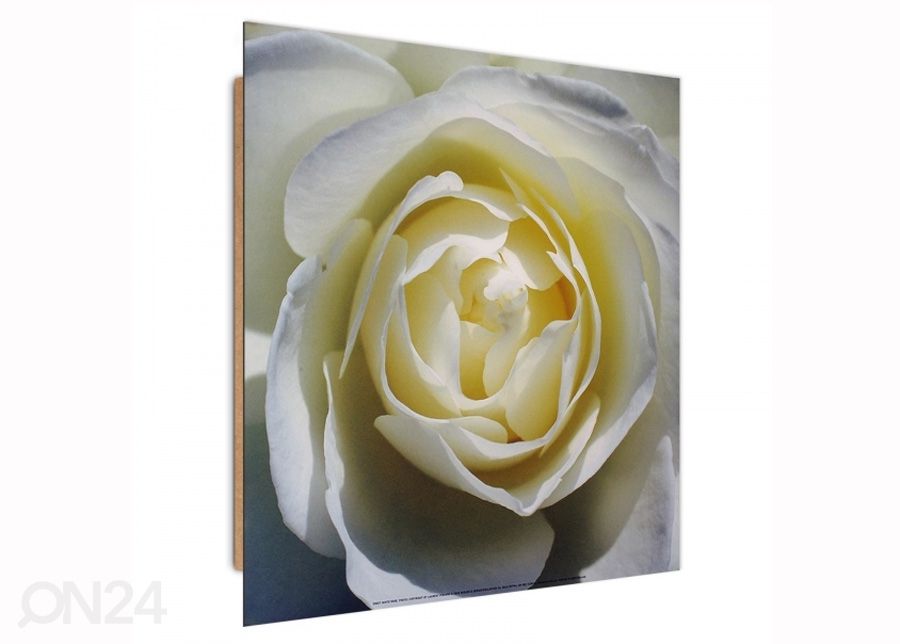 Настенная картина White rose 3D 30x30 см увеличить