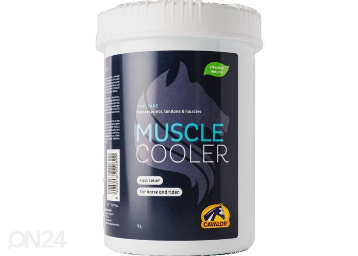 Охлаждающий гель для лошадей muscle cooler 1 л увеличить