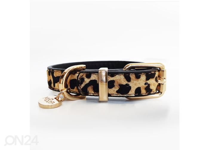 Ошейник из кожи leopard s35 увеличить