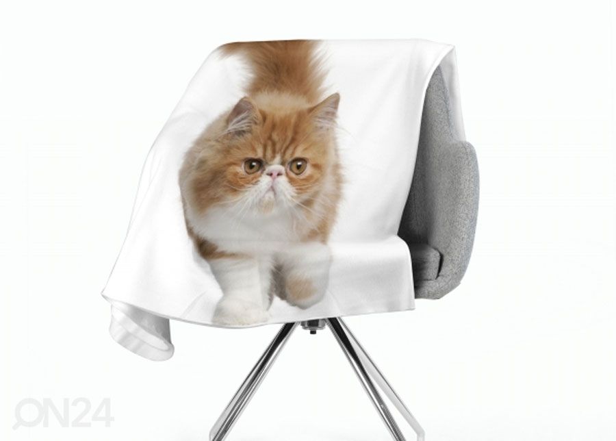 Плед Fluffy Cat 150x200 см увеличить