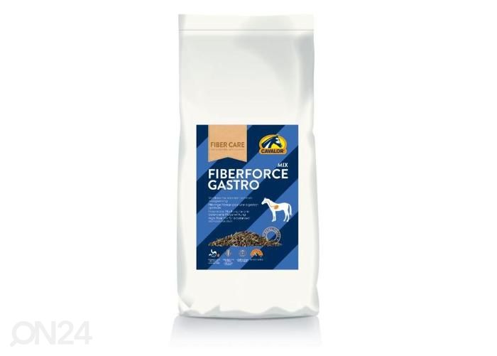 Полноценный корм для лошадей fiberforce gastro 15 кг увеличить