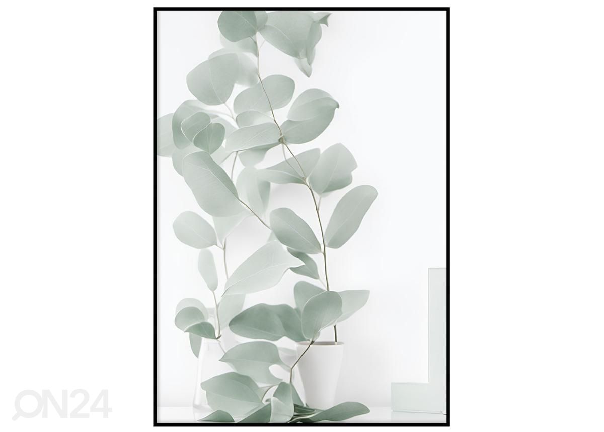 Постер Зеленые листья эвкалипта II 30x40 см увеличить