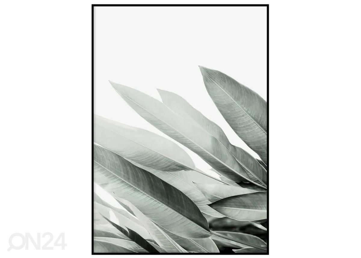 Постер Зелёные листья II 40x50 см увеличить