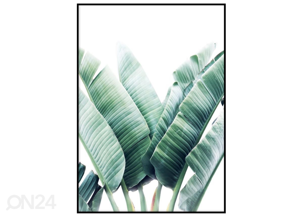 Постер Листья банана 30х40 см увеличить