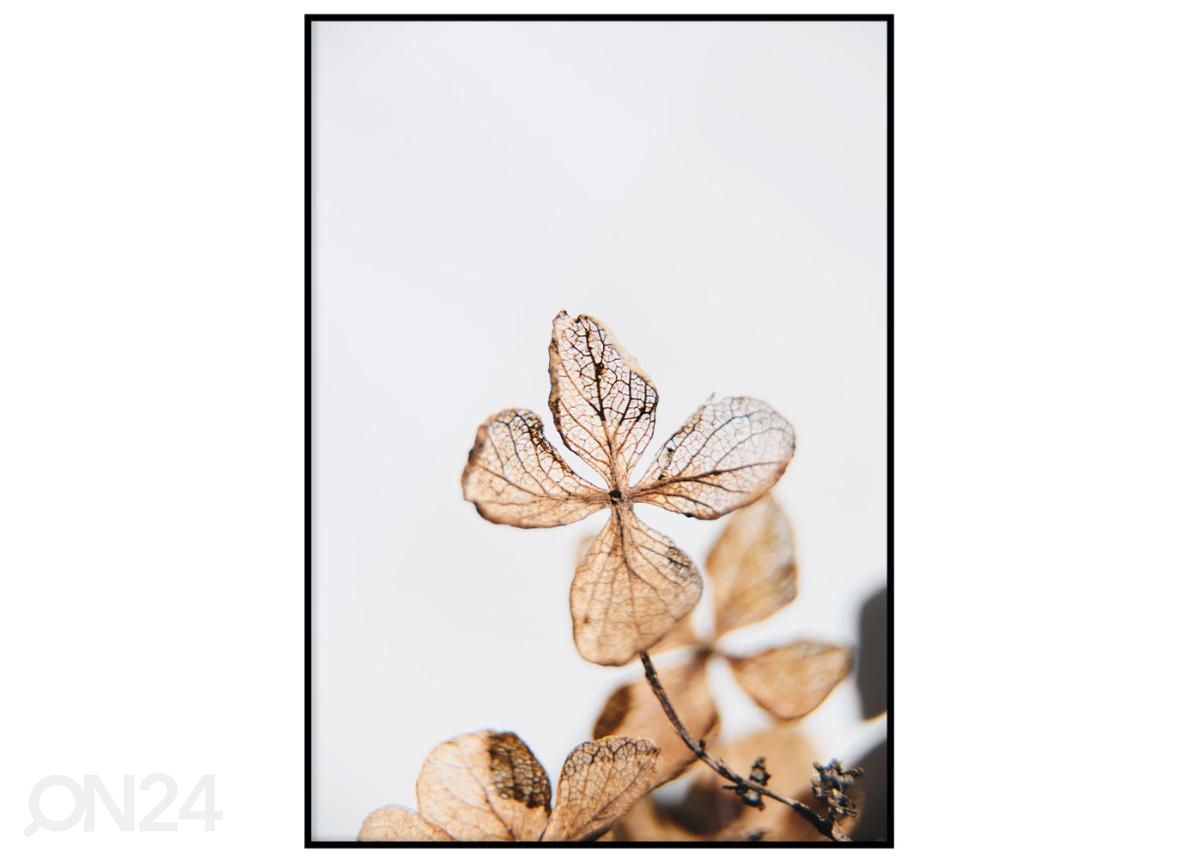 Постер Оранжевые листья II 30x40 см увеличить