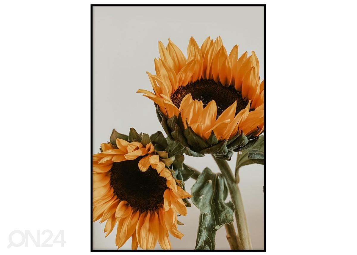 Постер Подсолнухи II 40x50 см увеличить