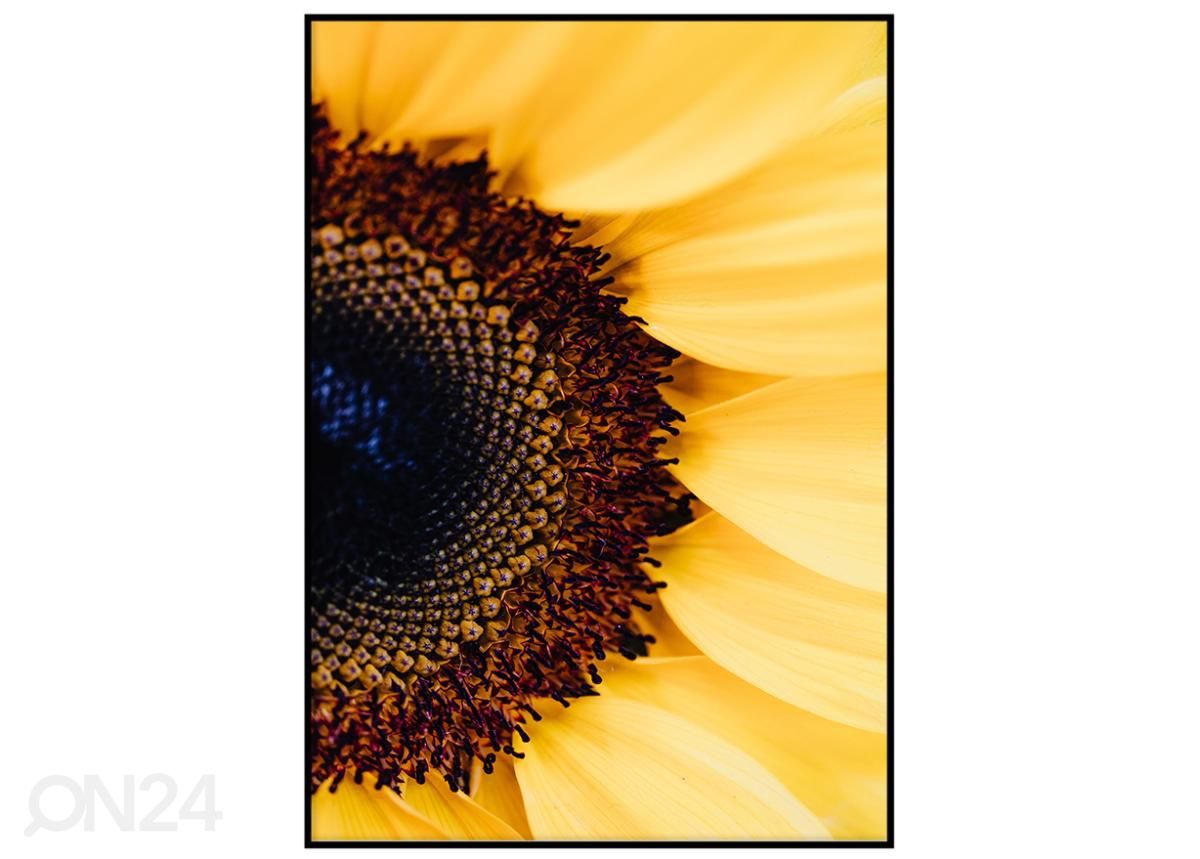 Постер Подсолнух 40x50 см увеличить