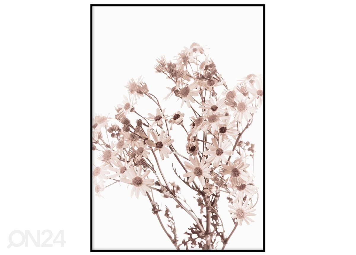 Постер Розовая ботаника II 30x40 см увеличить