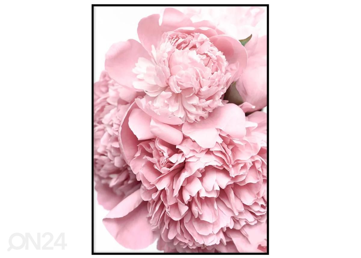 Постер Розовый цветок II 30x40 см увеличить