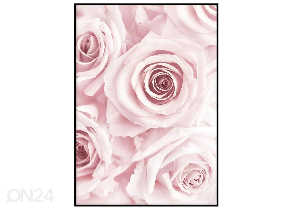 Постер Розовый цветок III 40x50 см увеличить