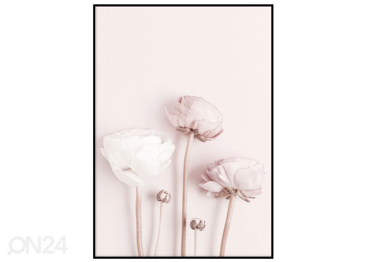 Постер Цветы светло-розовые 30х40 см увеличить