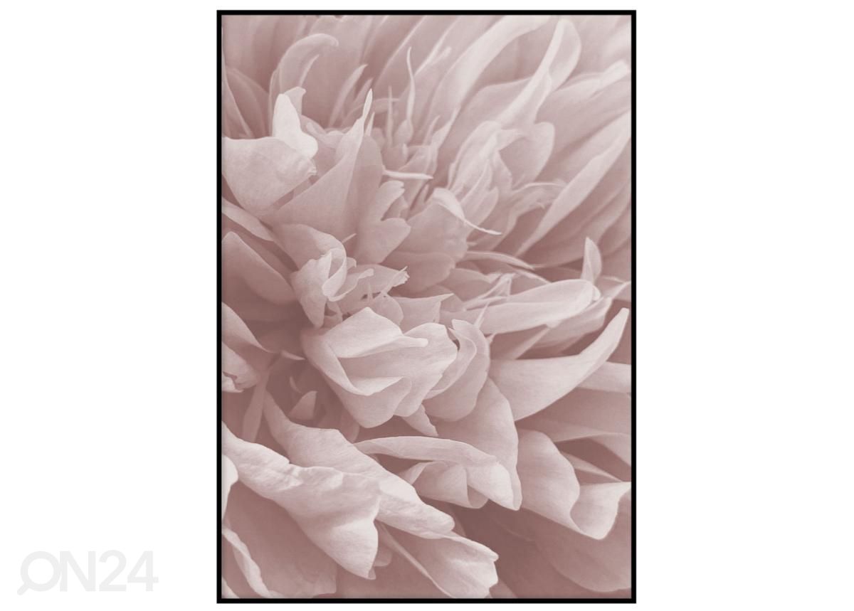 Постер Цветы II 40x50 см увеличить