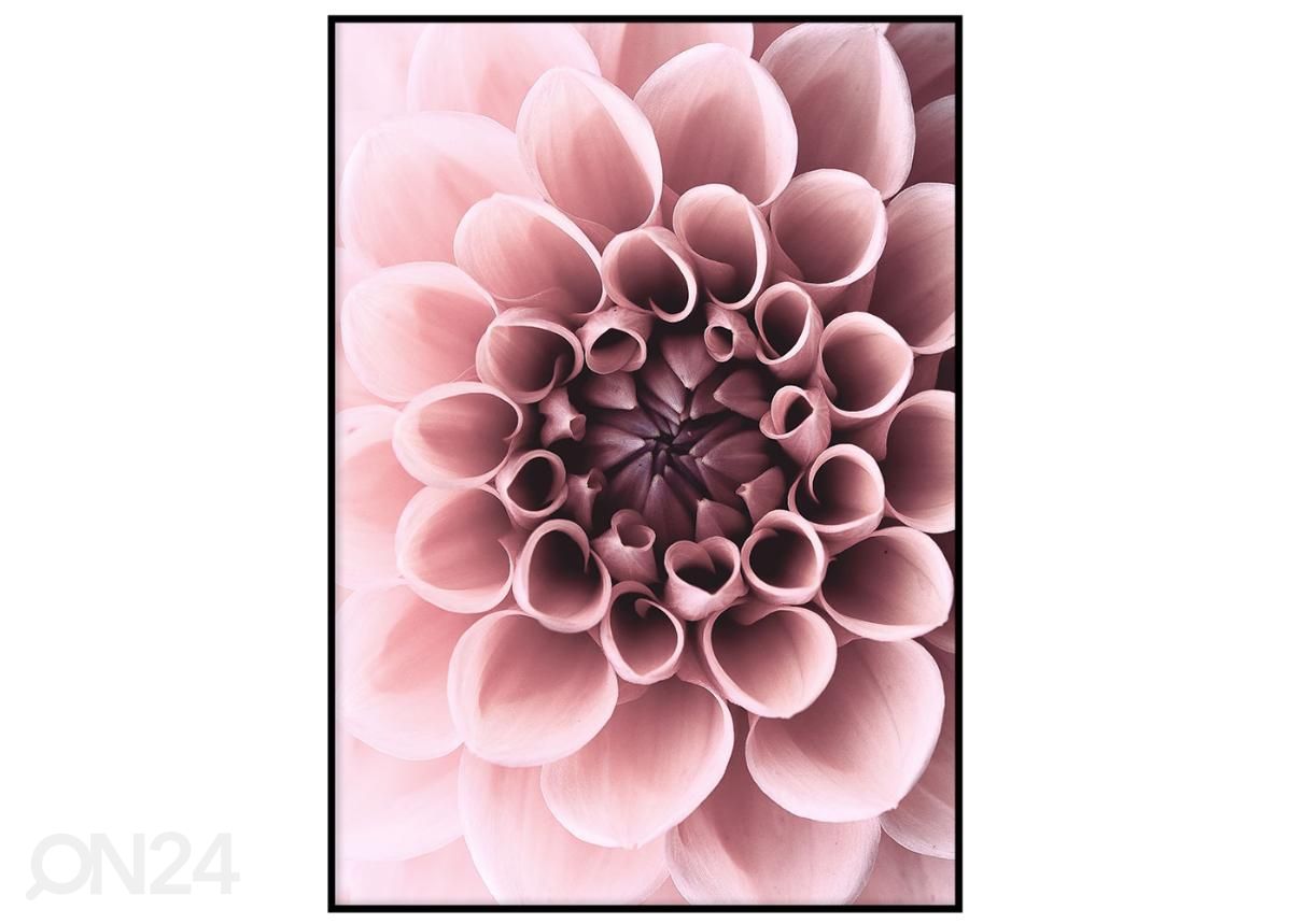 Постер Dahlia 21x30 см увеличить