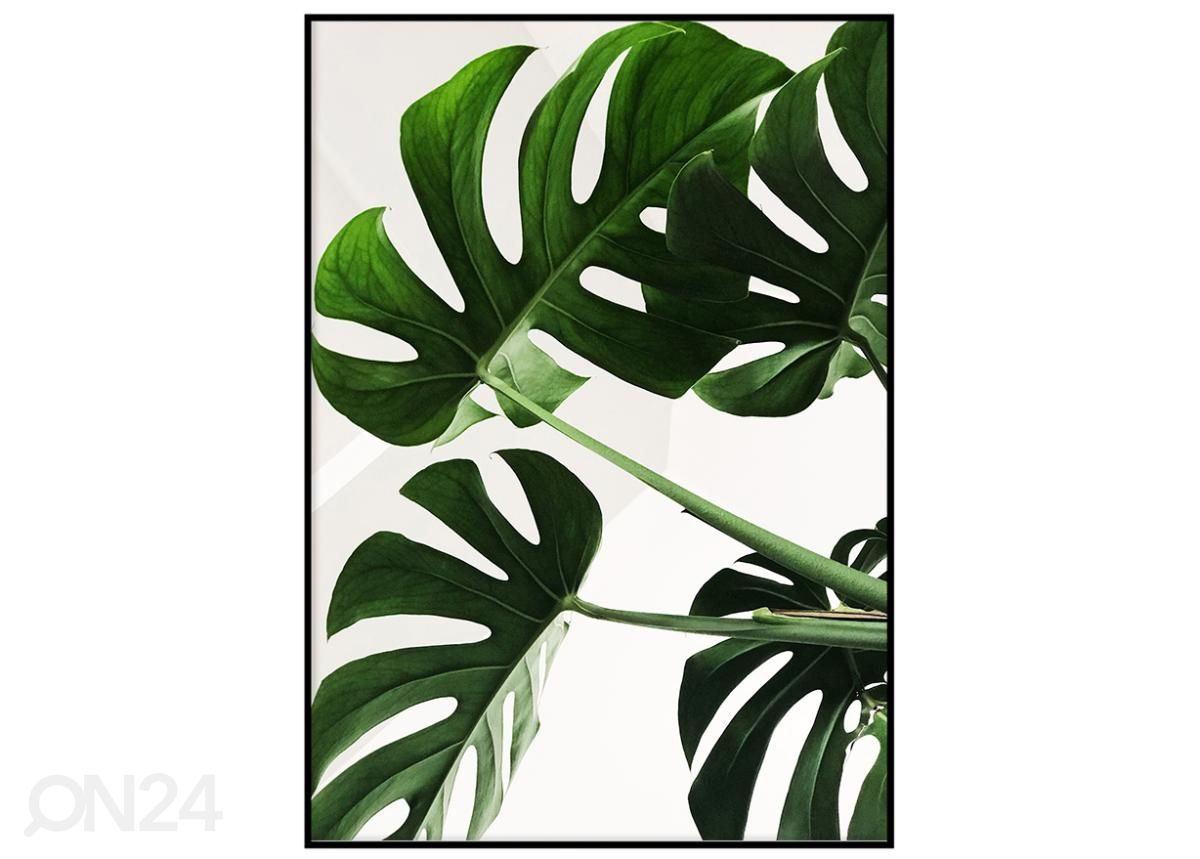 Постер Monstera 21x30 см увеличить